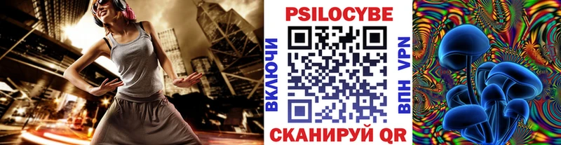 Галлюциногенные грибы мухоморы кракен как войти Таштагол